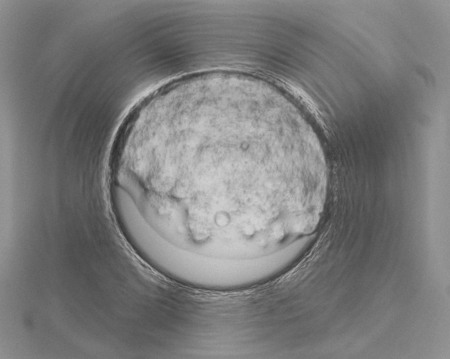 X0000114671072200912021048