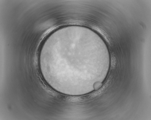 X0000114671074200912021048