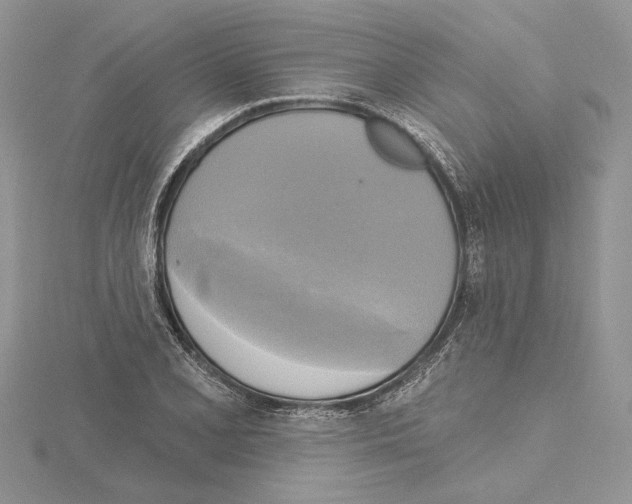 X0000114671077200912021048