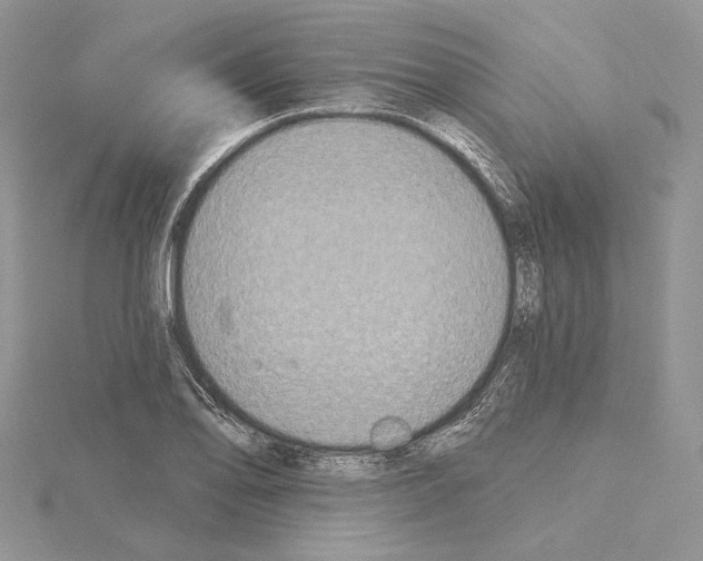 X0000114671078200912021048