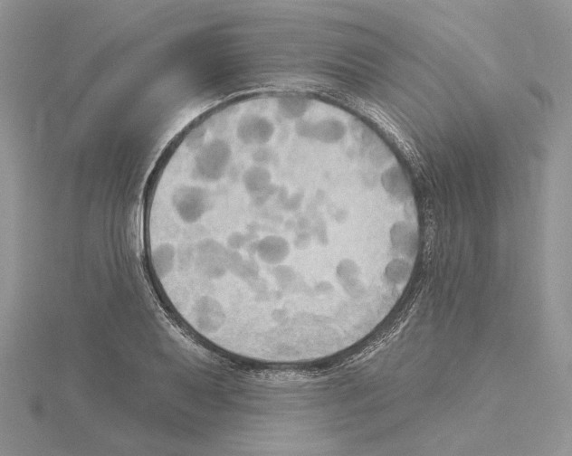 X0000114671079200912021048