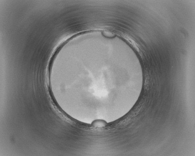 X0000114671080200912021048