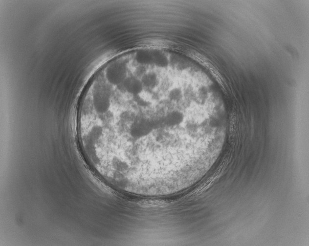 X0000114671083200912021048