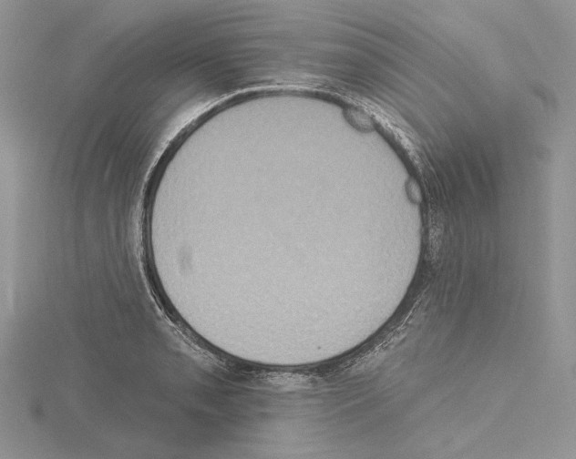 X0000114671085200912021048