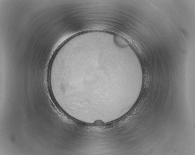 X0000114671086200912021048