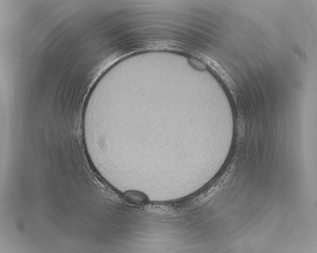 X0000114671089200912021048