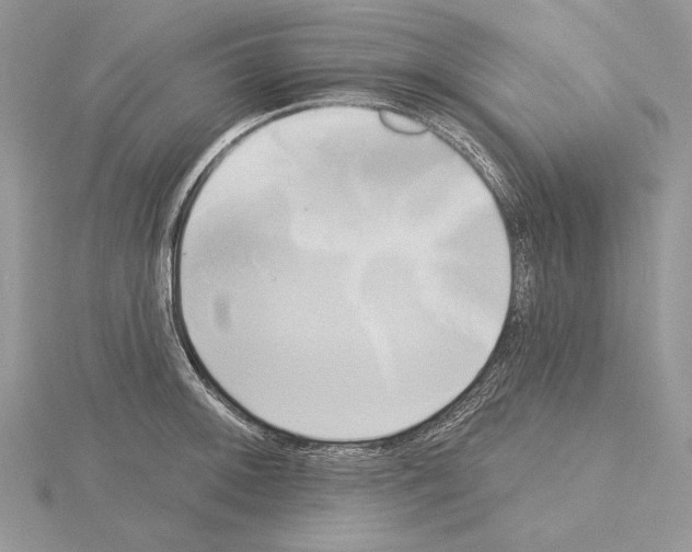 X0000114671092200912021048