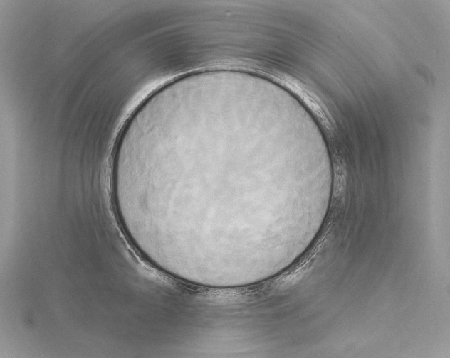 X0000114671094200912021048