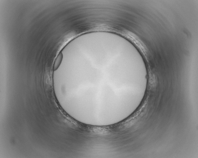 X0000114671097200912021048