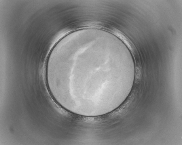 X0000114671098200912021048