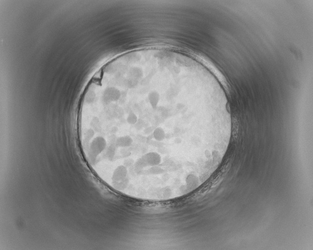 X0000114671099200912021048