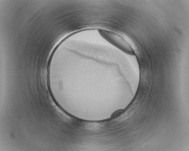 X0000114671100200912021048