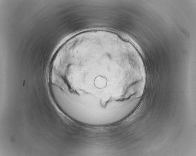 X0000114671101200912021048