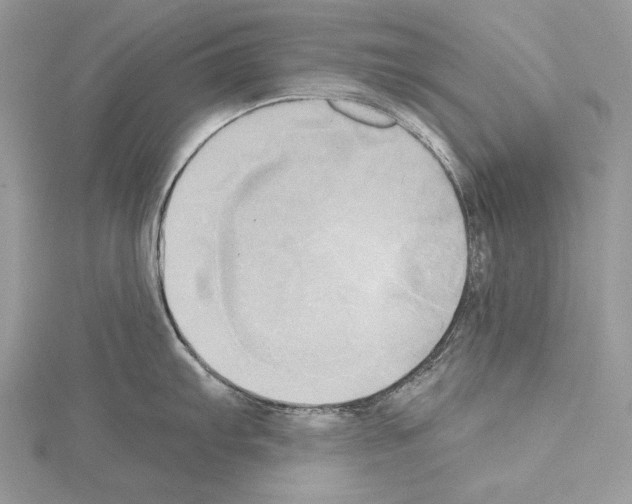 X0000114671103200912021048