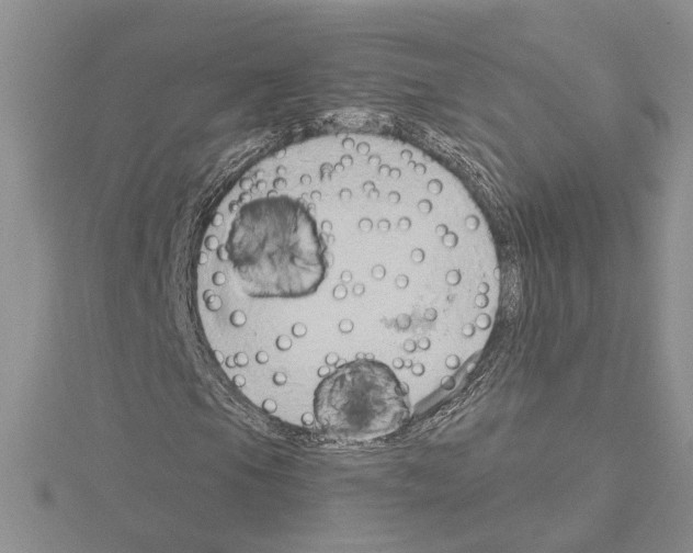 X0000114671105200912021047