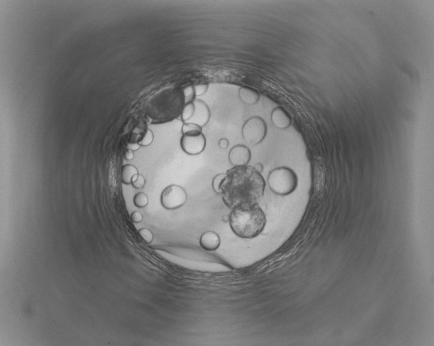 X0000114671106200912021047