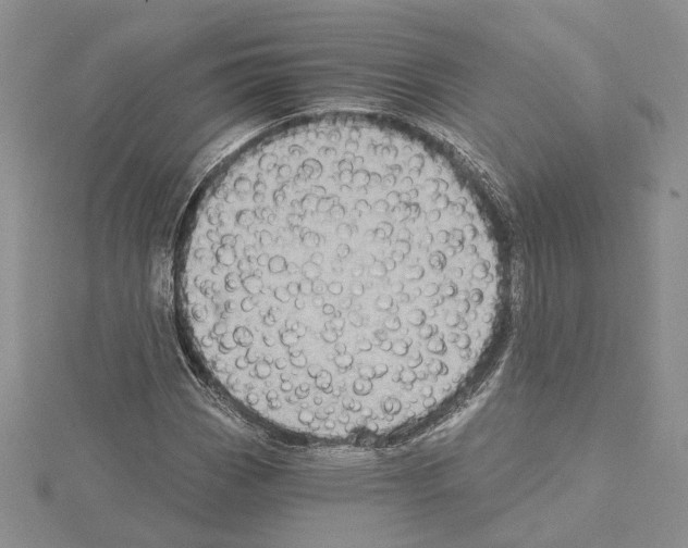 X0000114671113200912021048