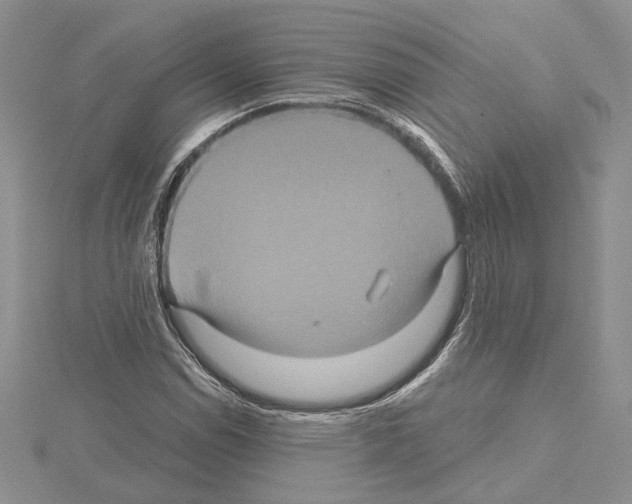 X0000114671114200912021048