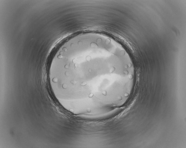 X0000114671117200912021048