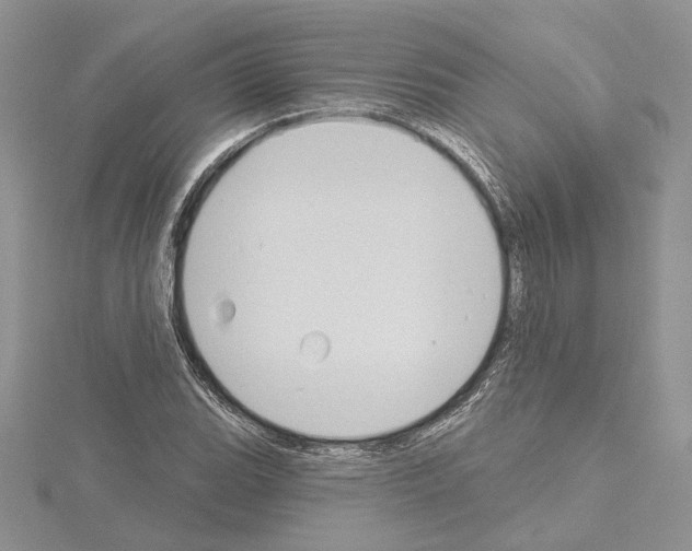 X0000114671119200912021048