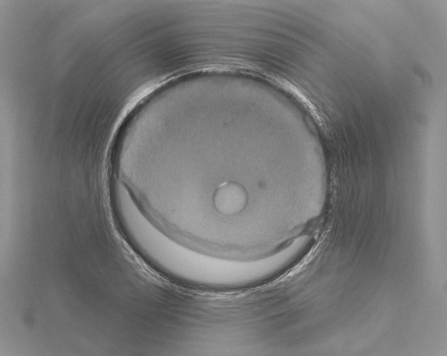 X0000114671122200912021048