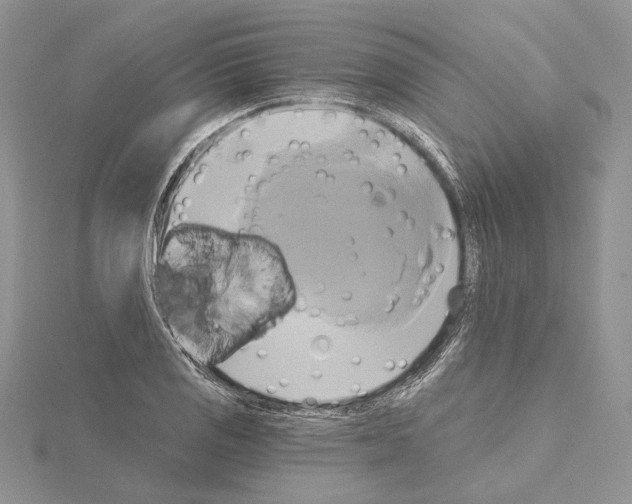 X0000114671125200912021048