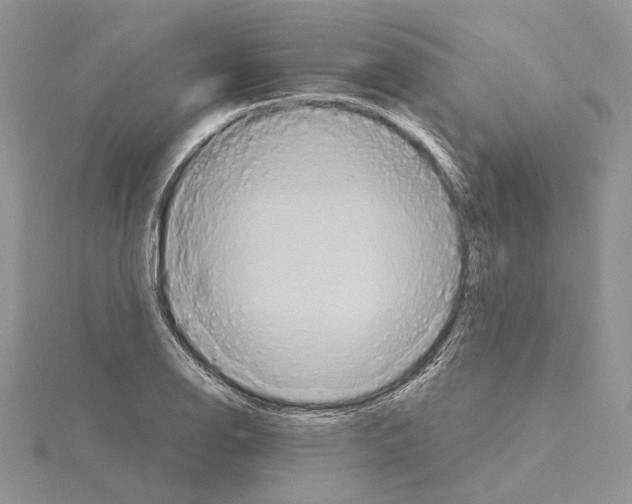 X0000114671126200912021048