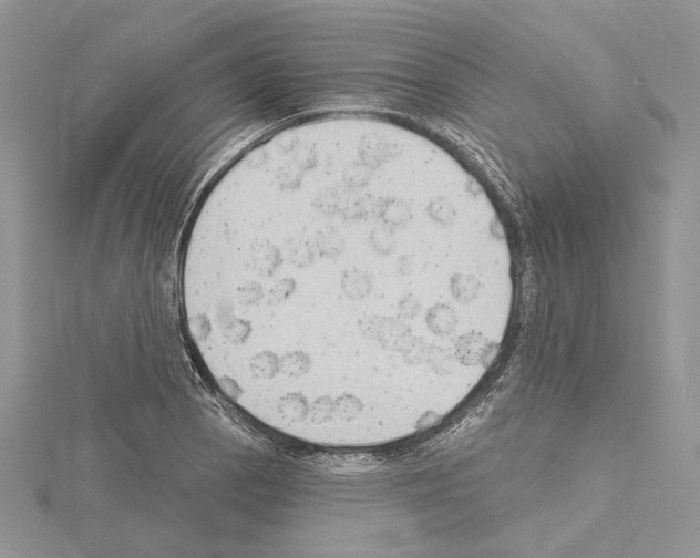 X0000114671129200912021048