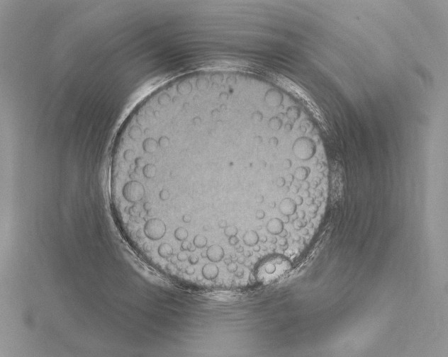 X0000114671130200912021048