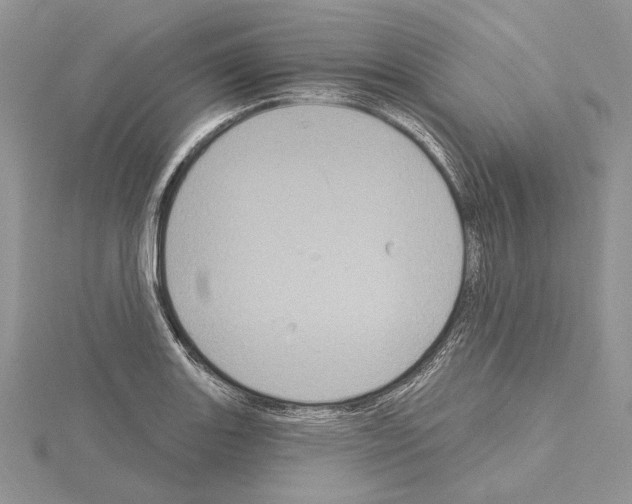 X0000114671131200912021048