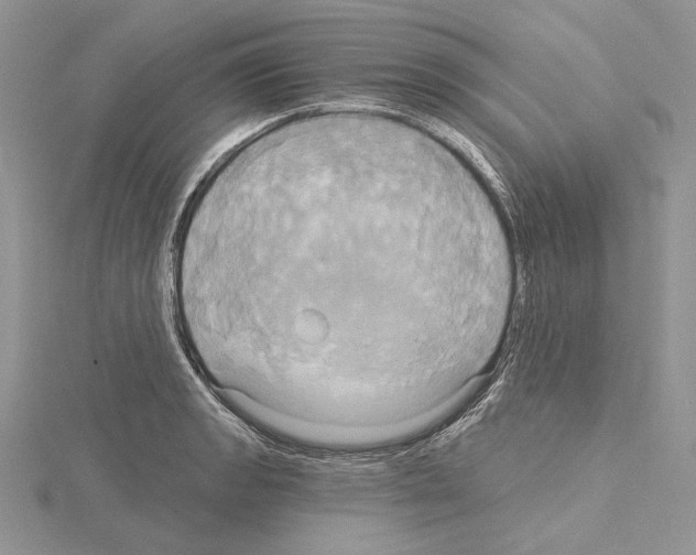 X0000114671133200912021048