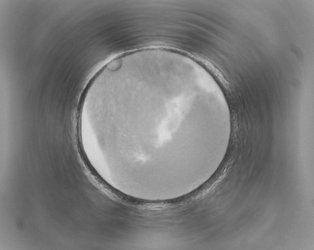 X0000114671134200912021048