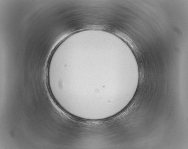 X0000114671135200912021048