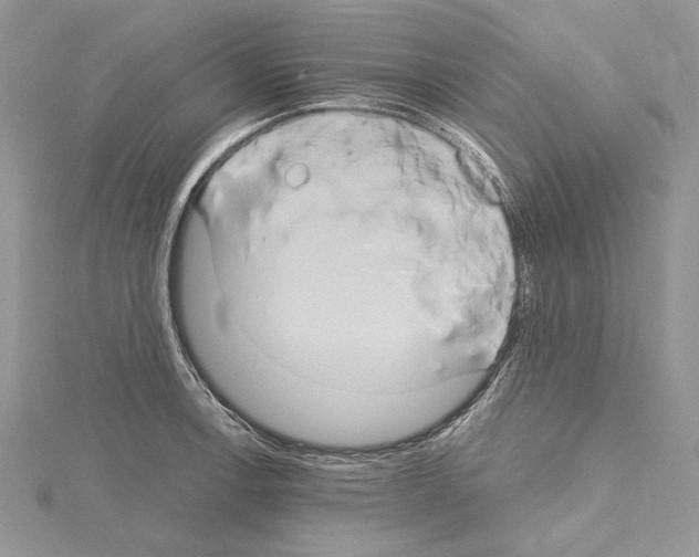 X0000114671138200912021048