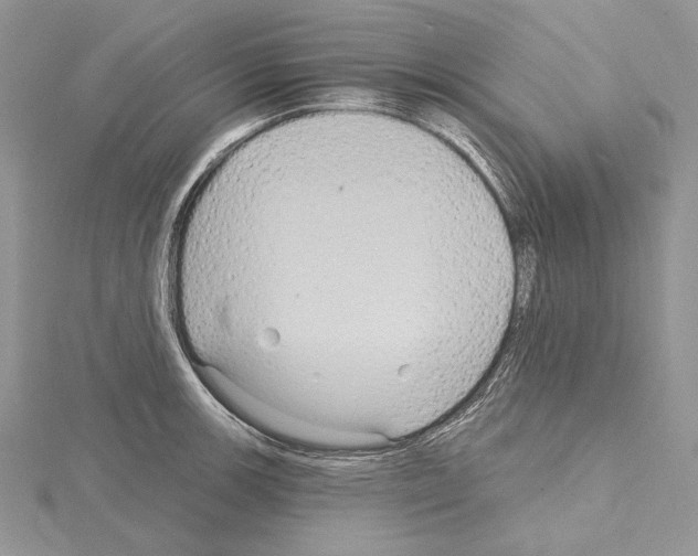 X0000114671139200912021048