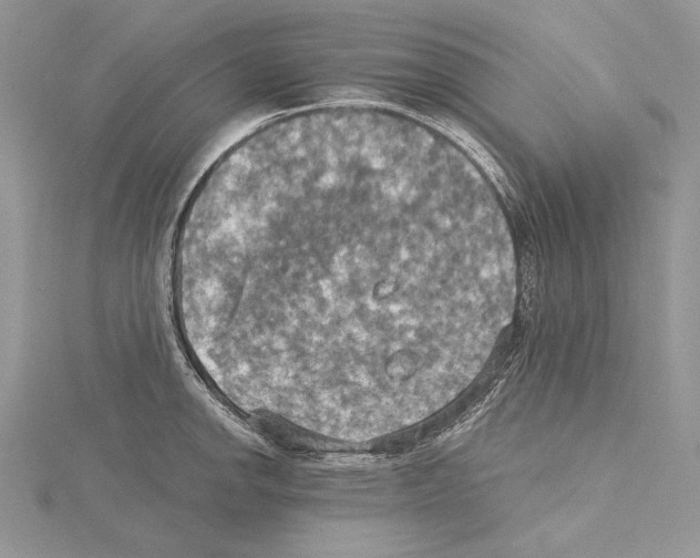 X0000114671142200912021048