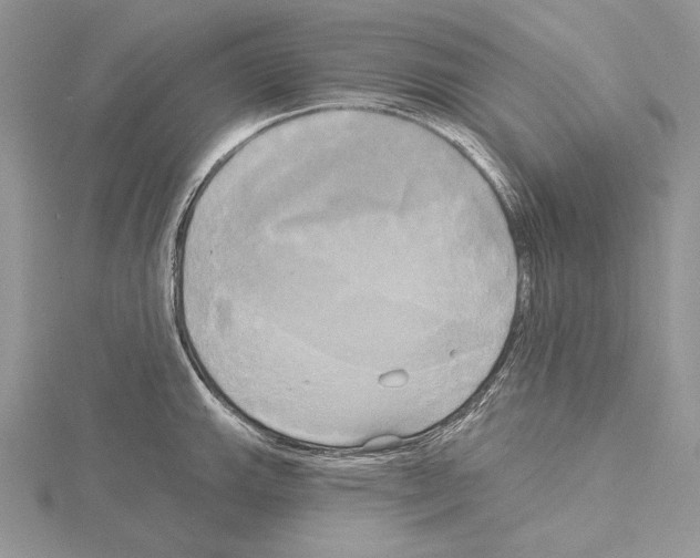 X0000114671143200912021048