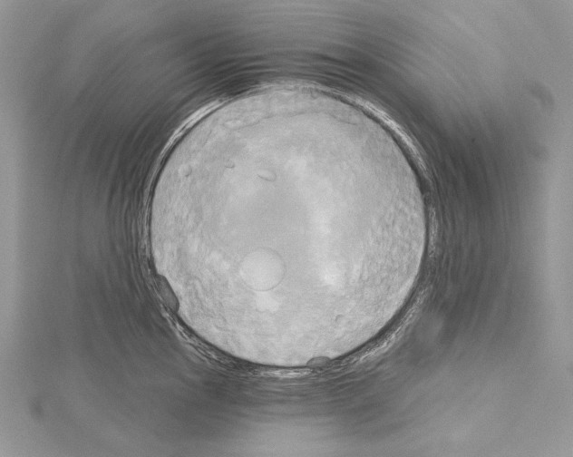 X0000114671145200912021048