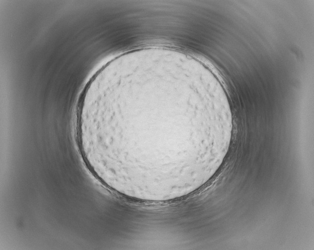 X0000114671147200912021048