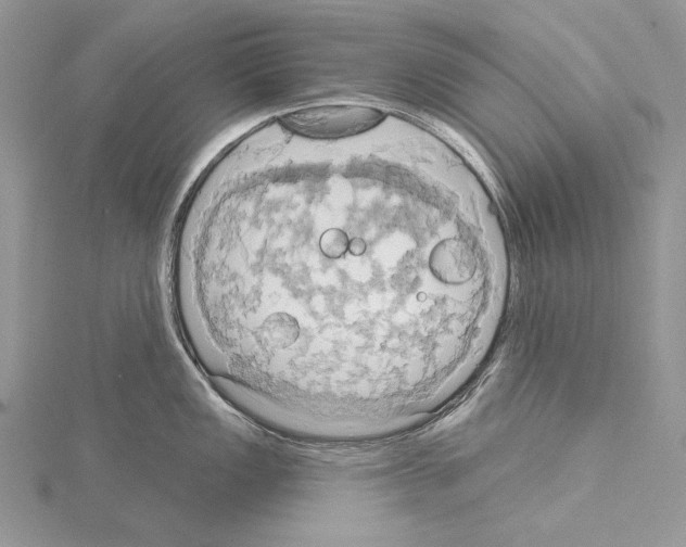 X0000114671149200912021048