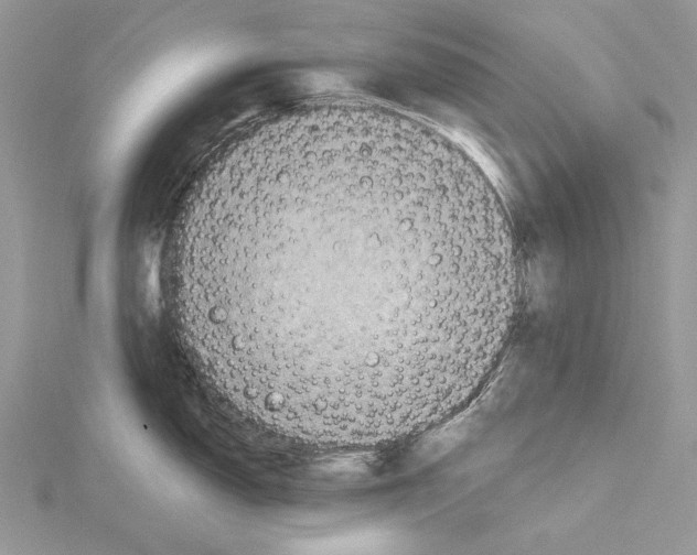 X0000114671150200912021048