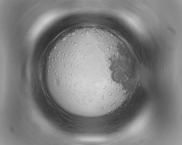 X0000114671151200912021048