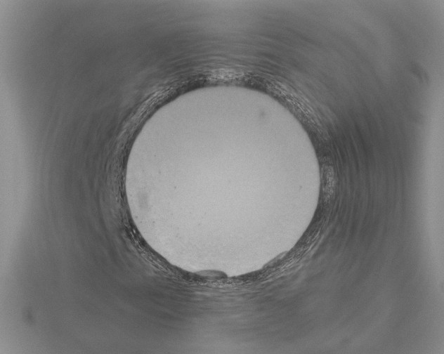 X0000114671153200912021047