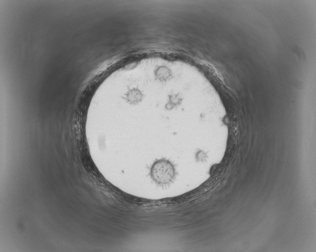 X0000114671159200912021047