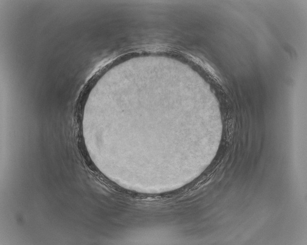 X0000114671160200912021047