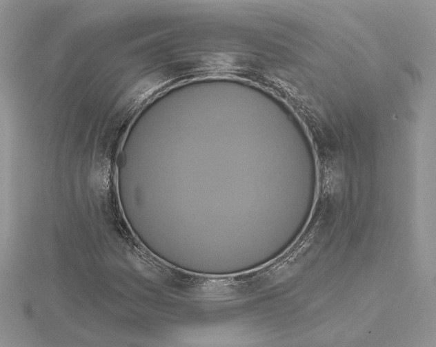 X0000114671161200912021047