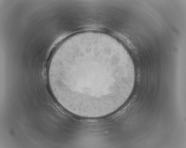 X0000114671164200912021047