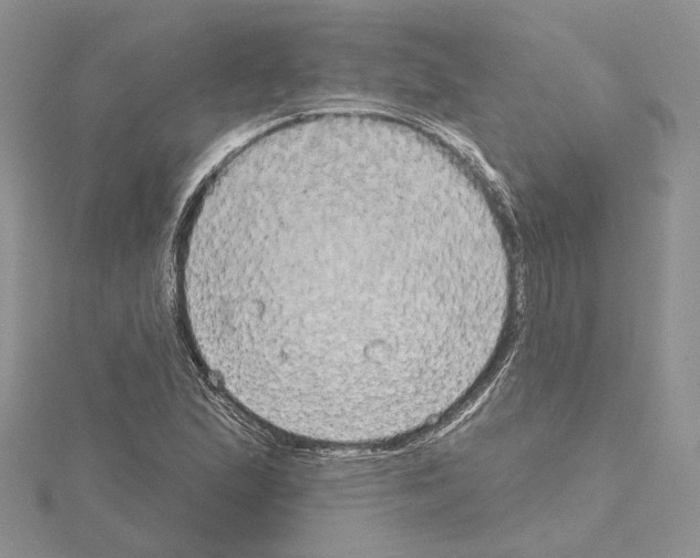 X0000114671167200912021047