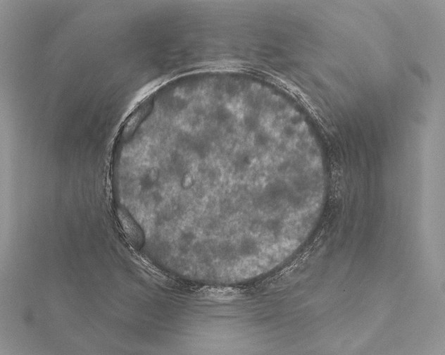 X0000114671168200912021047