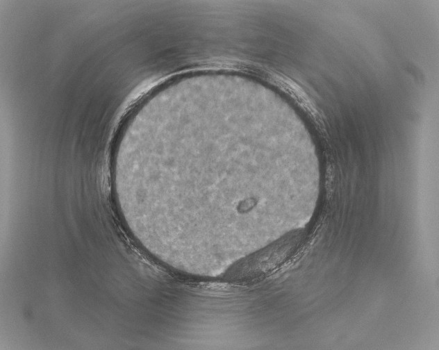 X0000114671172200912021047